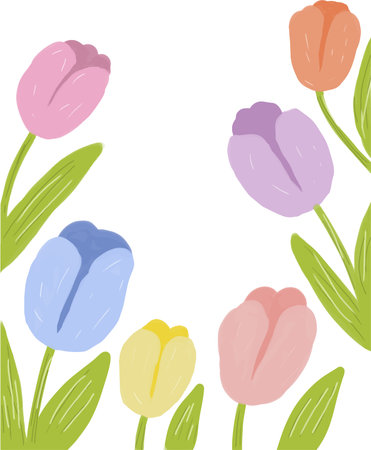 Spring tulips. Vector illustration on white background. Spring flowers.のイラスト素材