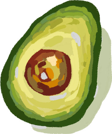 Avocado isolated on a white background. Vector illustration of avocado.