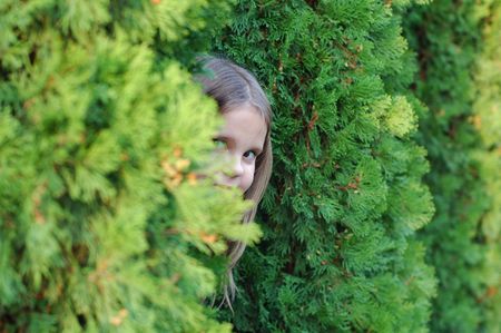 Girl looking between treesの写真素材