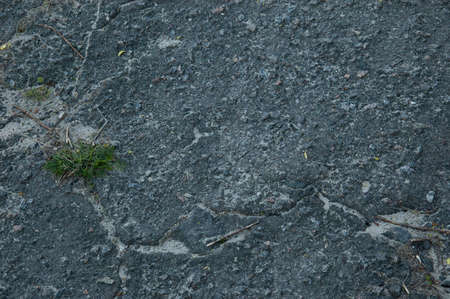 rough concrete surface with grass in cracks