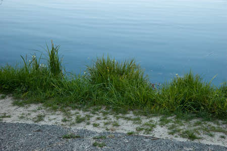 green grass and murky blue water and old asphalt roadの写真素材