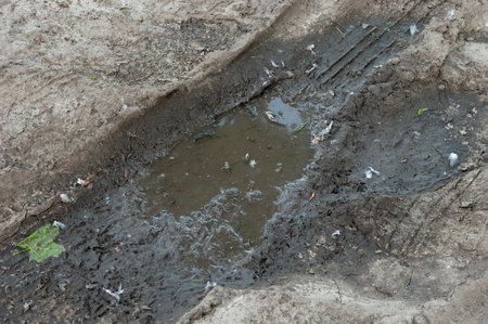 wet ground with tire tracks
