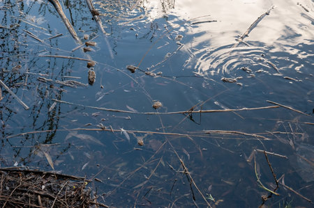 the blue sky and white clouds are reflected in the water.