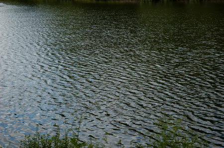 Green lake water with gentle ripples covering the entire frame.