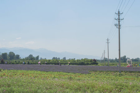 Qinling sceneryのeditorial素材