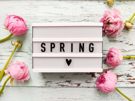 Top view of pink spring buttercups light box with the inscription spring on a blue aged wooden...