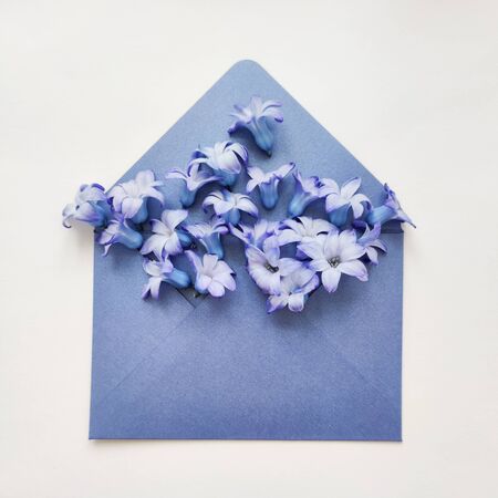Beautiful spring snowdrops flowers blue hyacinth in postal envelope and blank sheet with space for text on a white paper background. Top view, flat lay,International Women Day. greeting cardの写真素材