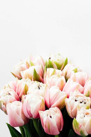 spring bouquet. a bouquet of tulips. a bouquet of pink and white tulips. pink flowers on a white background. Dutch tulips. March 8, International Women's Day. Flat lay,top view, place for textの写真素材