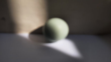A salted duck egg is an East Asian preserved food product made by soaking duck eggs in brine, or packing each egg in damp, salted charcoal.の写真素材