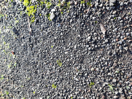 Gravel road texture with some mosses on a sunny dayの写真素材