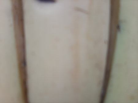 Blurred monochrome banana fruit close up texture backgroundの写真素材