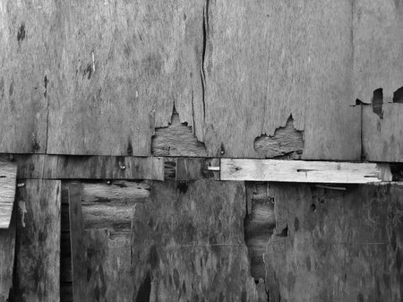 Decomposed old wood abstract texture backgroundの写真素材