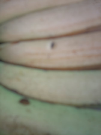 Blurred monochrome banana fruit close up texture backgroundの写真素材