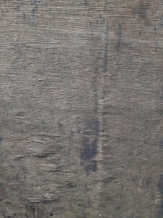 Decomposed old wood abstract texture backgroundの写真素材