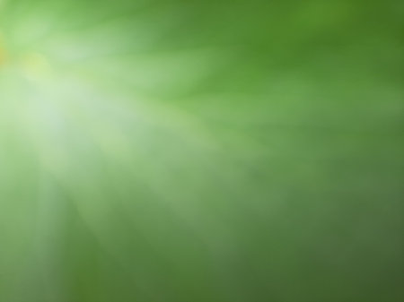 Abstract blurry green vein leaf texture full close up background.の写真素材