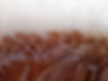 Blurred abstract melon seeds white and orange close upの写真素材