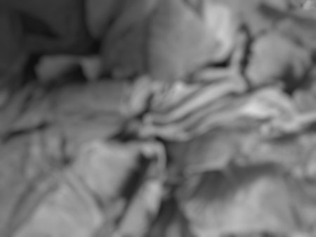 Defocused faded spinach monochrome leaves abstract texture backgroundの写真素材