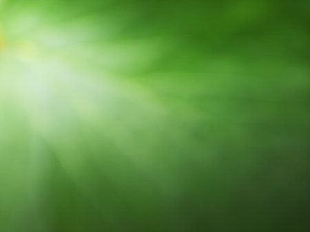 Abstract blurry green vein leaf texture full close up background.の写真素材