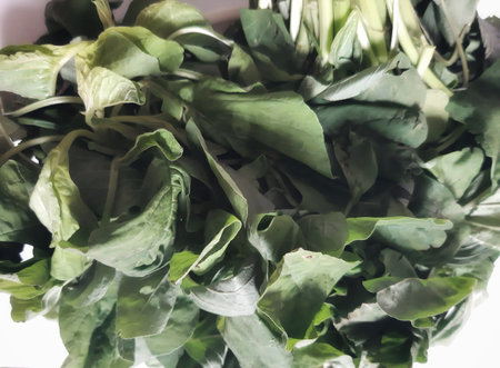 Defocused faded spinach green leaves abstract texture backgroundの写真素材