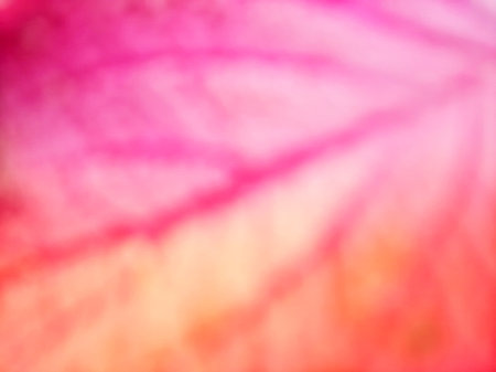 Blurred abstract purple and pink leaf vein texture full close up background.の写真素材