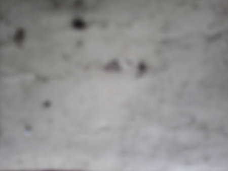 Defocused grungy wooden white grey texture backgroundの写真素材