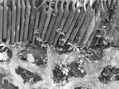 Monochrome abandoned unused roof tile row above rock and cement wall with some grasses grow on themの写真素材