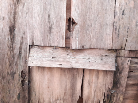 unused old cracked plywood textureの写真素材