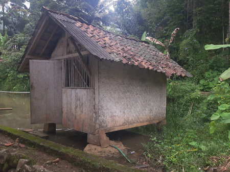 Traditional old hut in the village with pond and forest backgroundの写真素材