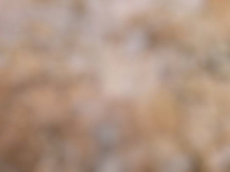 Abstract defocus brown and white. Cracked old cement floor with mosses.の写真素材