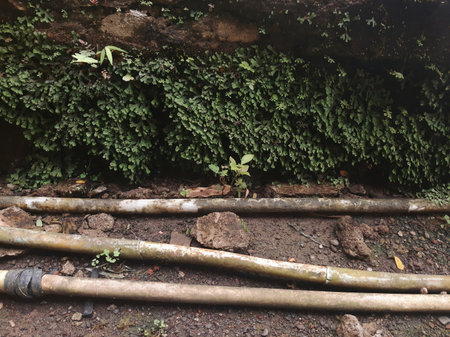 colorful dirty straight hose pipes on the ground with moss and cement floor along the path