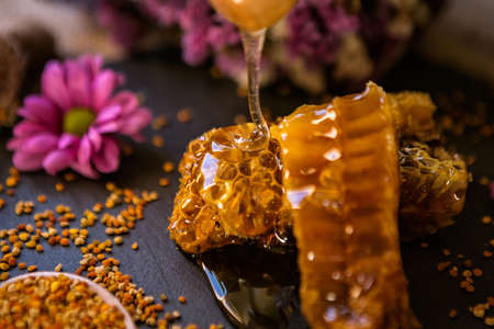 dripping golden honey from a wooden dipper on natural honeycombs