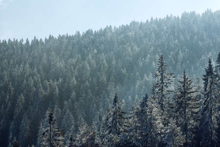 view of the sunny morning on the winter mountains landscapeの写真素材