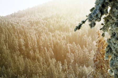 Beautiful view of the sunny morning on the winter mountains landscapeの写真素材