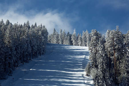 downhill skiing, going fast down the mountain, winter sport backgroundの写真素材