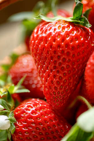 Healthy organic red strawberries close up