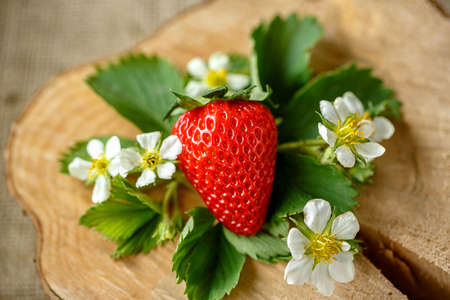 fresh red strawberries top viewの写真素材