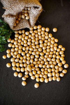 healthy raw soy bean on dark background