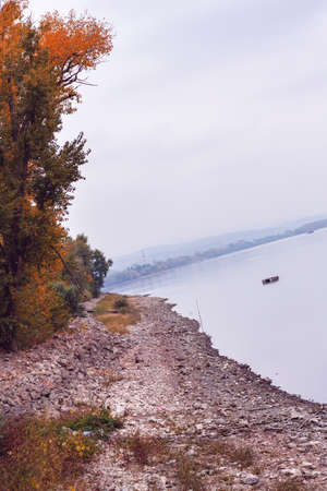 Forest river in autumn season. Autumn forest river water. Autumn river forest view