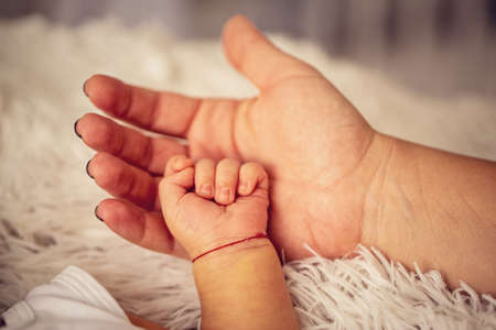 Cute small baby hand on mom palm
