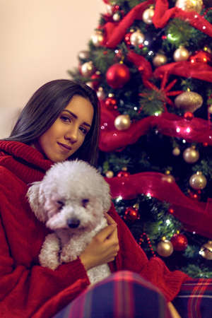 smiling young girl  embracing cute puppy near Christmas tree. Christmas holiday.の写真素材