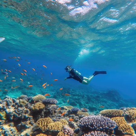 Man dives among corals and fishes in the oceanの素材