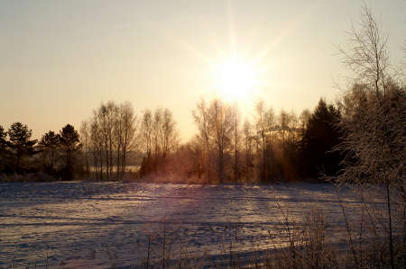 Rising over the winter forest sun.の写真素材