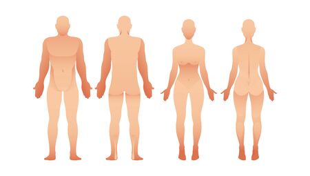 Silhouettes of man and woman front and back view. Vector human bodyのイラスト素材