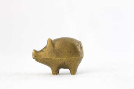Lucky Cham golden pig with selective focus  for creative use