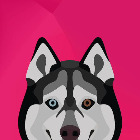 Husky in graphic designのイラスト素材