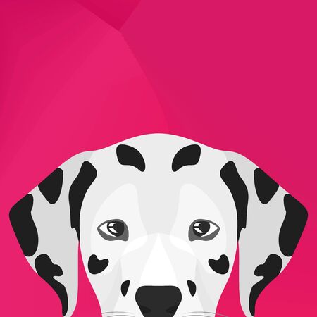 Dalmatian  in graphic designのイラスト素材