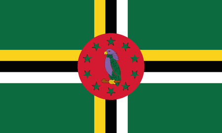 Detailed Illustration National Flag Dominikaのイラスト素材
