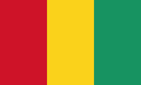 Detailed Illustration National Flag Guineaのイラスト素材