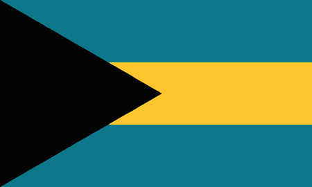 Detailed Illustration National Flag Bahamasのイラスト素材