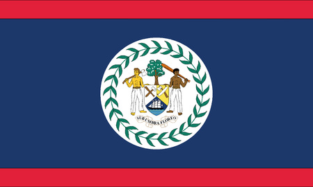 Detailed Illustration National Flag Belizeのイラスト素材